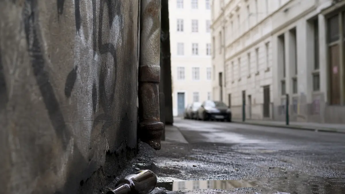 Vienne : Quels sont les quartiers à éviter ?